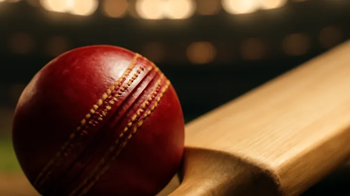 Popular Sports Betting Options at JY JELI COM